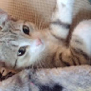 Meet your Posher, Axel